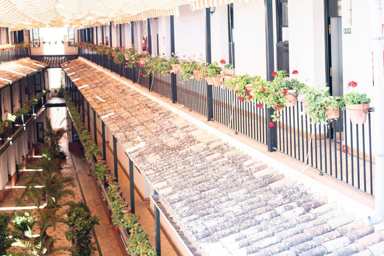 Alohamundi Lumbreras Ii Seville